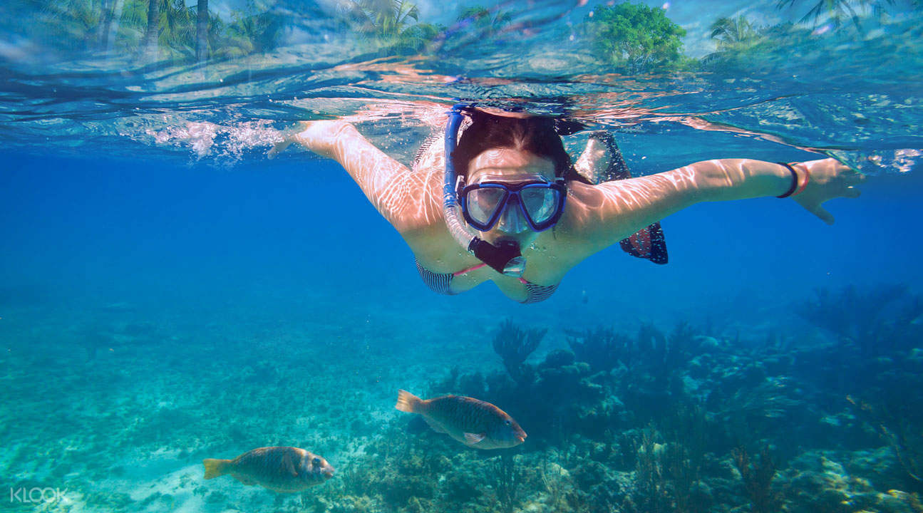 Al momento stai visualizzando Snorkeling: che cos’è e come praticare quest’attività nel tempo libero